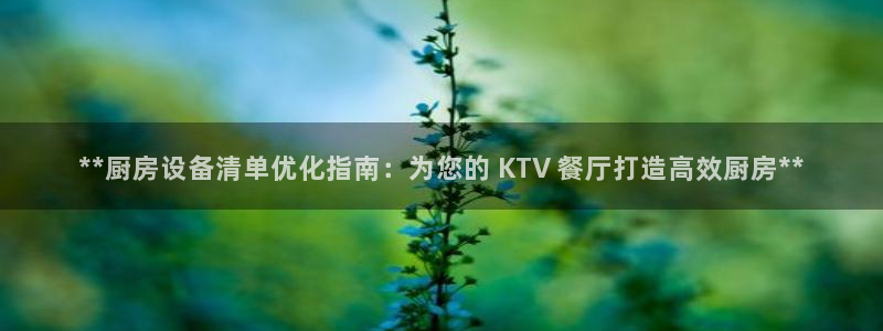 尊龙实业有限公司：**厨房设备清单优化指南：为您的 KTV 