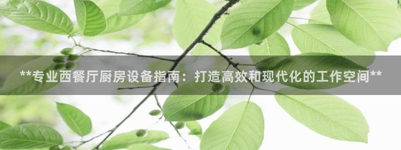 尊龙凯时网娱乐最新版下载